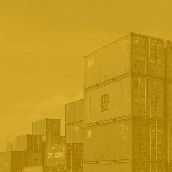 Cold Chain Logistics